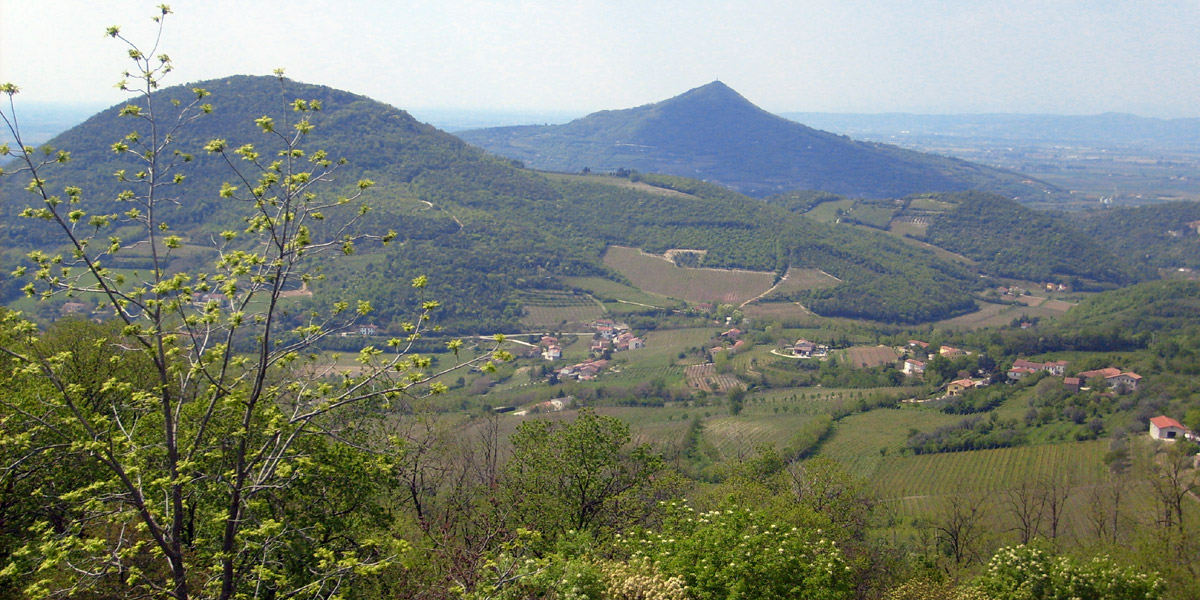 Monte Gemola im Euganeischen Naturpark: Autor Rics1299 (bearbeitet)